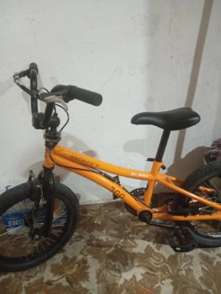 Bicicleta Monty 300 Dr. Bike