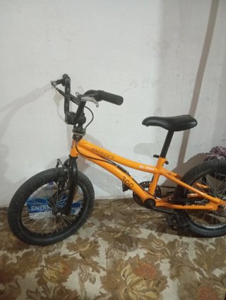 Bicicleta Monty 300 Dr. Bike