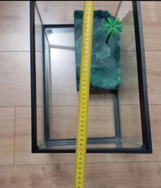 Tortuguera de cristal  con decoració