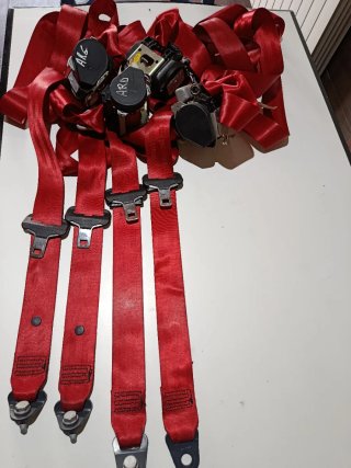 Cinturones de seguridad rojos Renault Megane 3 RS