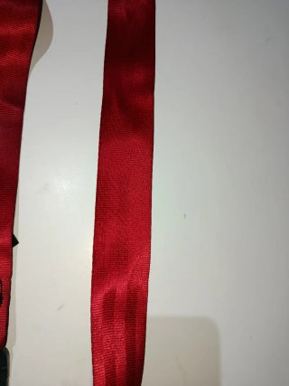 Cinturones de seguridad rojos Renault Megane 3 RS