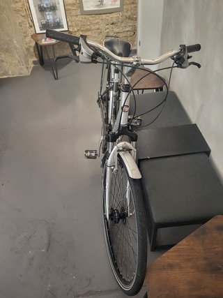 Bicicleta Paseo BH Oxford