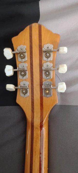 Guitarra Eléctrica Defil Malwa