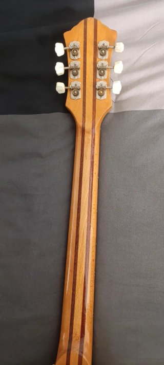 Guitarra Eléctrica Defil Malwa