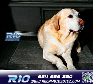 BANDEJA MALETERO PARA BMW