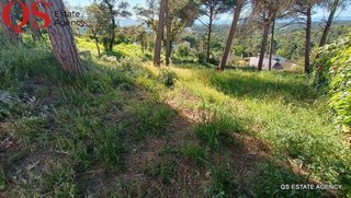 Terreno en venta en Mas Mora - Sant Daniel en Tordera