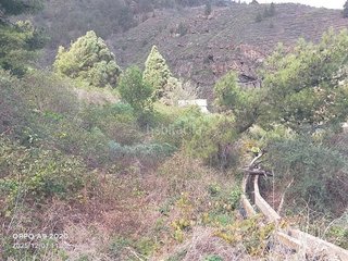 Terreno en venta en Güímar