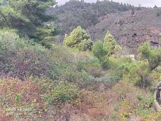 Terreno en venta en Güímar