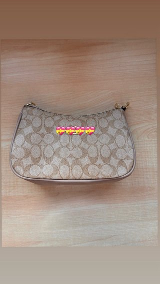 Bolso Beige y Marrón