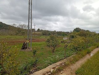 Terreno en venta en Son Servera