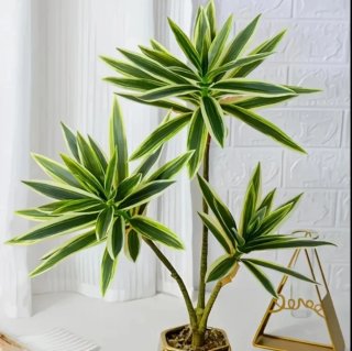 Planta Artificial Decorativa