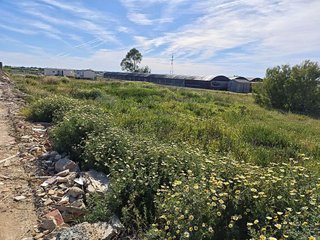 Terreno en venta en Ctra Sanlúcar-Zona Cuatro Pinos en Puerto de Santa María (El)