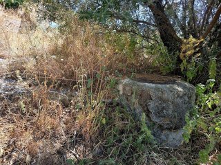Terreno en venta en Canillas de Aceituno