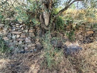 Terreno en venta en Canillas de Aceituno