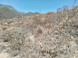 Terreno en venta en Güímar