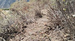 Terreno en venta en Güímar