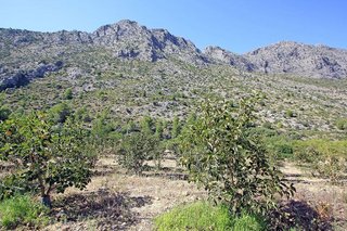 Terreno en venta en Beniarbeig