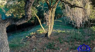 Casa rural en venta en Arenys de Munt