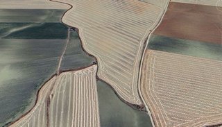 Terreno en venta en Olivares