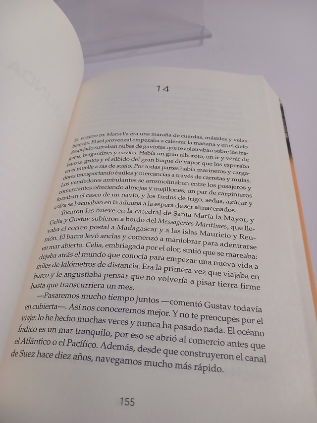 La musa de la flor negra: La autora revelación ...