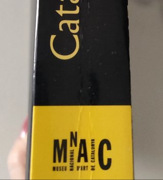 Cataluña en la época carolingia