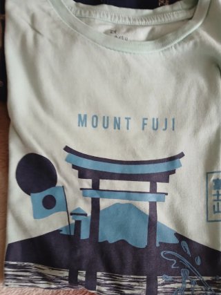 Lote siete camisetas