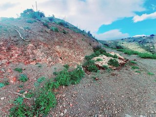 Terreno en venta en Canillas de Aceituno