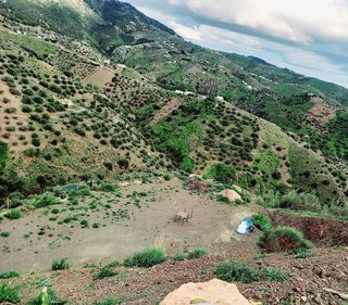 Terreno en venta en Canillas de Aceituno