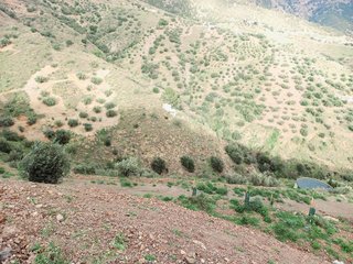 Terreno en venta en Canillas de Aceituno