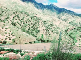 Terreno en venta en Canillas de Aceituno