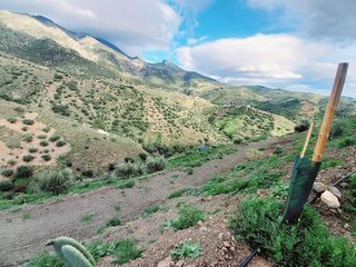Terreno en venta en Canillas de Aceituno