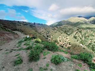 Terreno en venta en Canillas de Aceituno