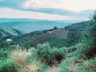 Terreno en venta en Canillas de Aceituno