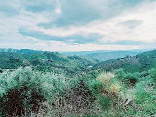 Terreno en venta en Canillas de Aceituno