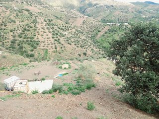 Terreno en venta en Canillas de Aceituno