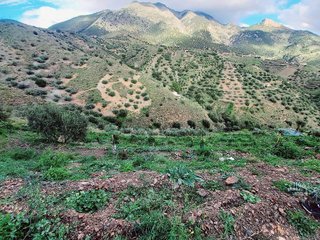 Terreno en venta en Canillas de Aceituno