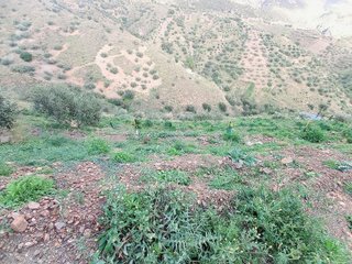Terreno en venta en Canillas de Aceituno