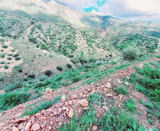 Terreno en venta en Canillas de Aceituno