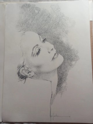 PORTAFOLIO DIBUJOS PEPE GONZALEZ, SERIE GRETA GARB
