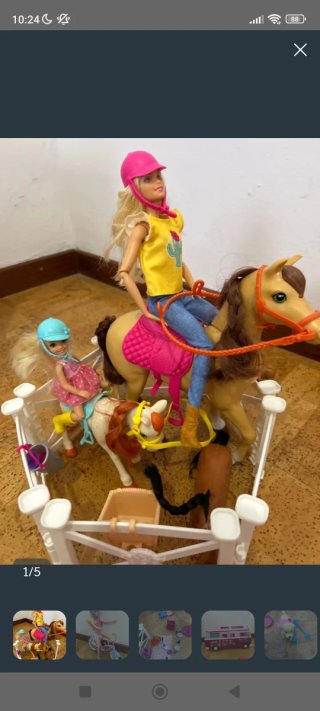 Barbie Cavallo e Poni con Accessori