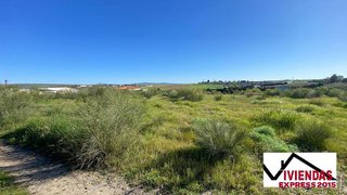 Terreno en venta en Sur en Mérida