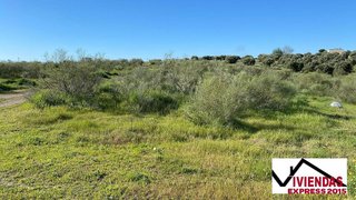 Terreno en venta en Sur en Mérida