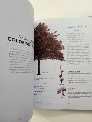 Un Árbol Para Mi Jardín Elige Un Árbol, Plántal...