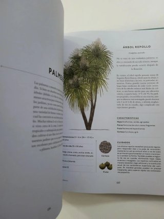 Un Árbol Para Mi Jardín Elige Un Árbol, Plántal...