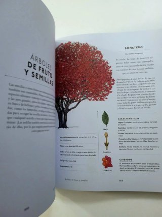 Un Árbol Para Mi Jardín Elige Un Árbol, Plántal...