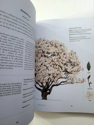 Un Árbol Para Mi Jardín Elige Un Árbol, Plántal...