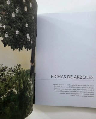 Un Árbol Para Mi Jardín Elige Un Árbol, Plántal...