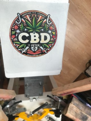 Pulpo Serigrafía 4 Colores Microajuste