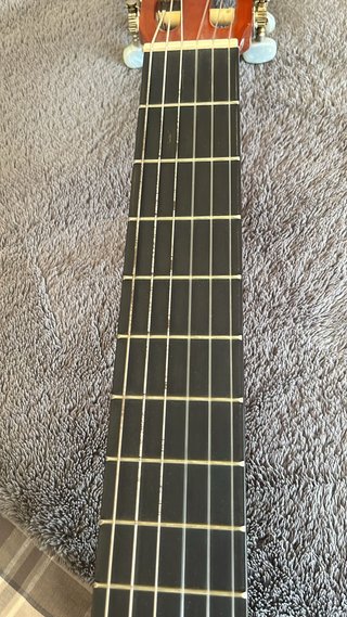 Guitarra Clásica Molina