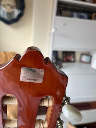 Guitarra Clásica Molina